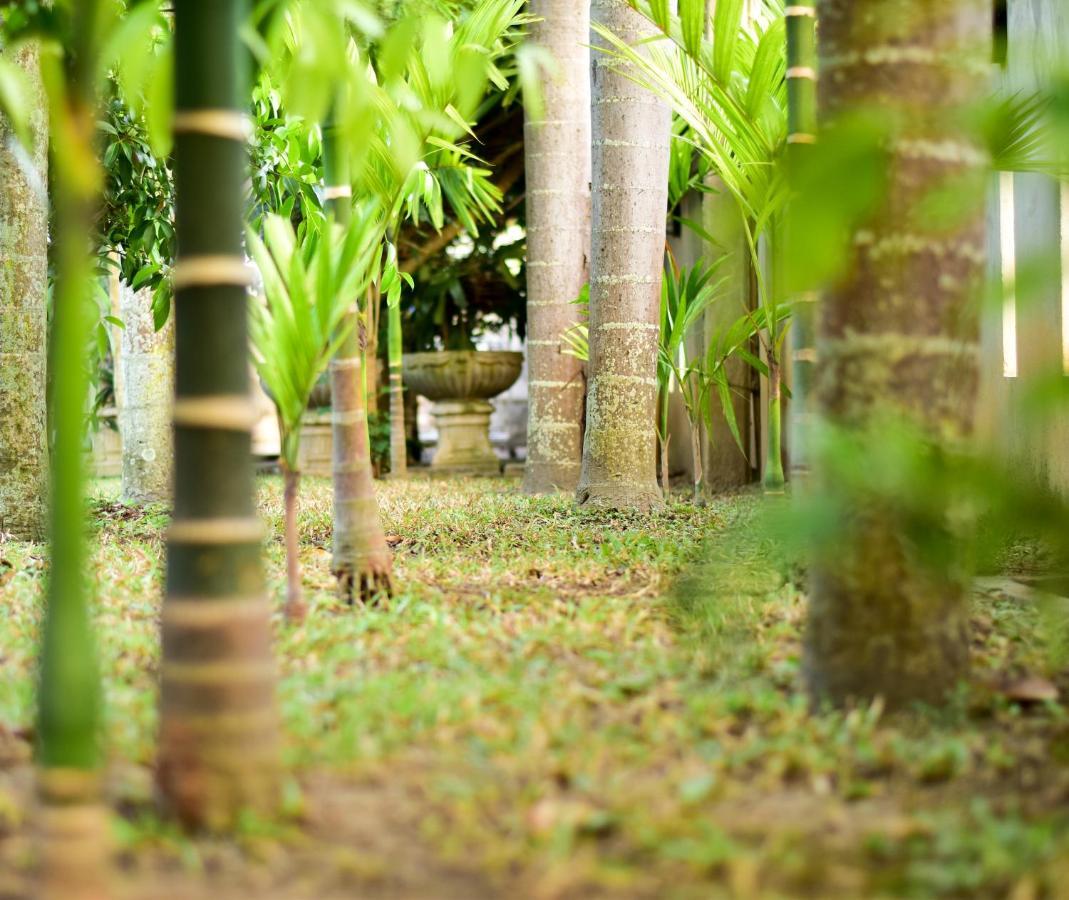 Chiang Mai Heritage House Zewnętrze zdjęcie